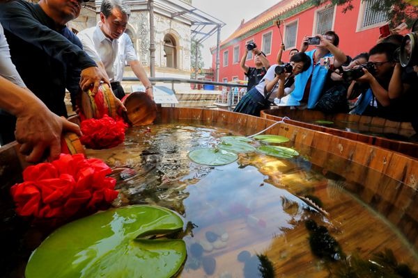 Goldfish set to make a splash at Forbidden City century later
