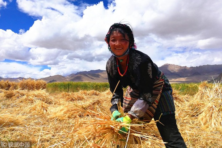 Rural Lhasa sees rapid growth in disposable income
