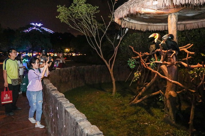 Night tours become popular