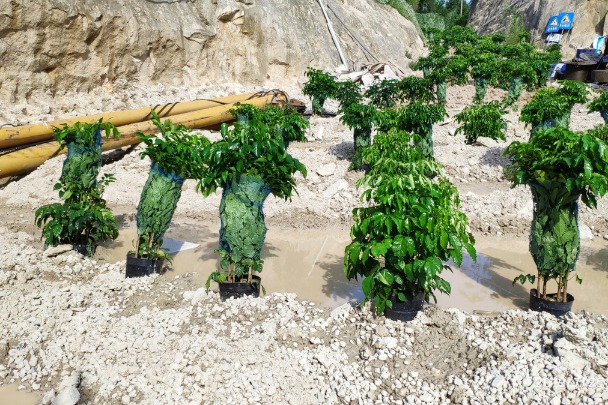 Ministry says mining plants used tricks to mask violations