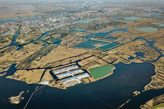 Over 3,000 enterprises registered in Xiongan New Area