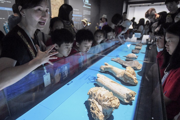180 paleontologists worldwide appeal for fossil protection in NE China