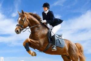 Xinmin city set to hold international equestrian endurance event