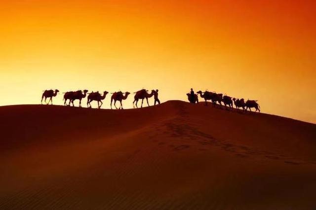 China, Arab states to promote Belt and Road tourism