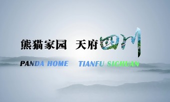 Panda Home Tianfu Sichuan