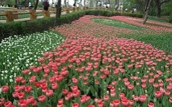 Botanical Garden, Shenyang