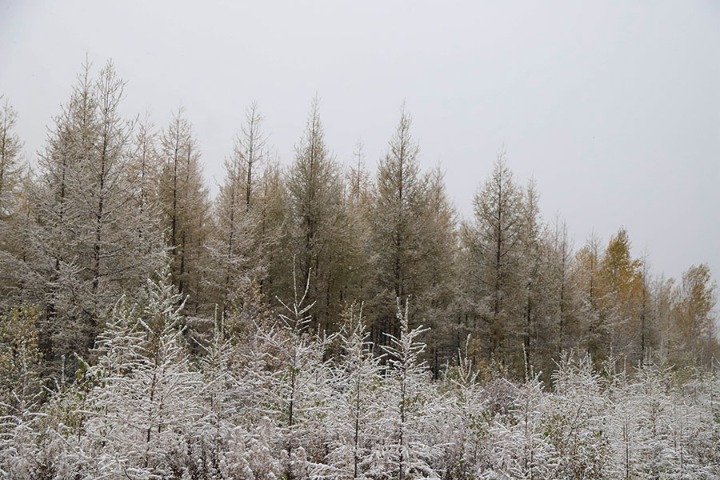 First snow comes early to northern city in Heilongjiang