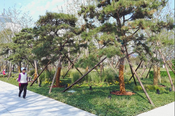 New urban grove to open in downtown Beijing