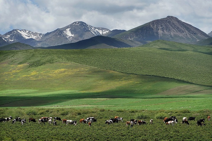 Tibet-Qinghai cooperation launches tourism projects