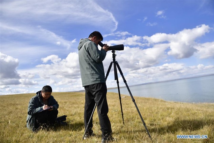 Three-day autumn observation around Qinghai Lake concludes