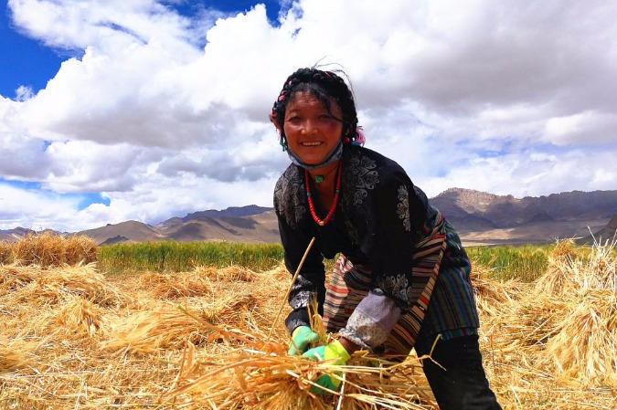 250,000 Tibetans relocated to new homes in anti-poverty fight
