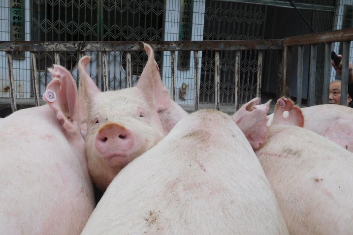 China to release another 10,000 tons of pork from reserves before National Day Holiday