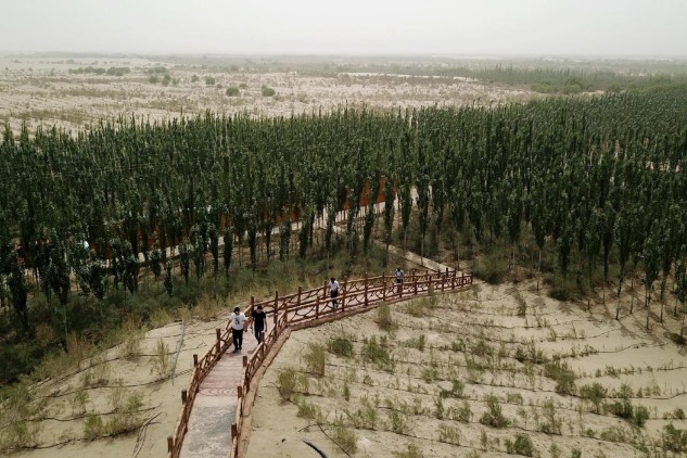 New forests help battle sandstorms