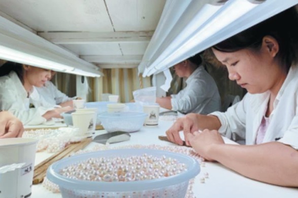 Pearl farming helps lift seaside village out of poverty in Guangdong