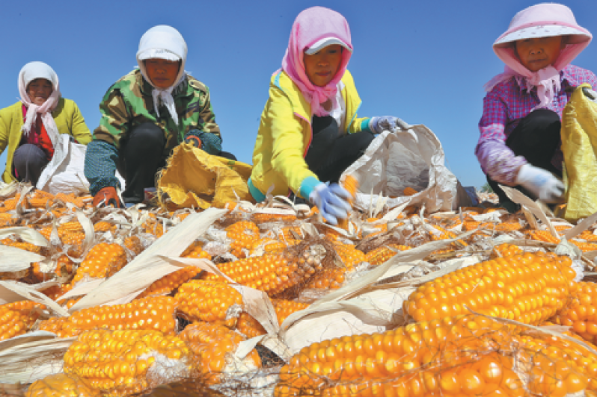 China will intensify cooperation to ensure food security