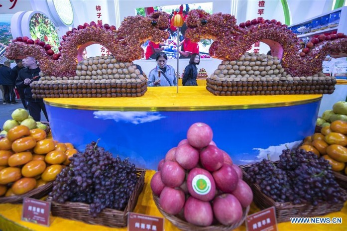 Highlights of Shanxi (Yuncheng) International Fruit Trade Expo
