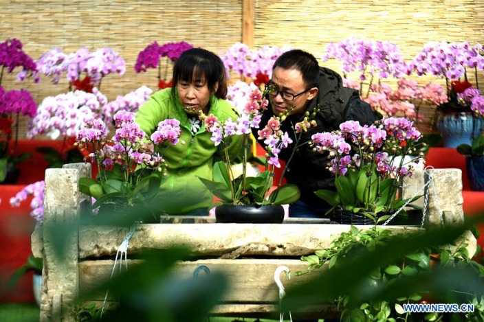 Local gov't of Hebei's Gu'an County explores flower economy to boost rural economy