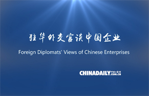Foreign diplomats: Chinese enterprises boost local economies