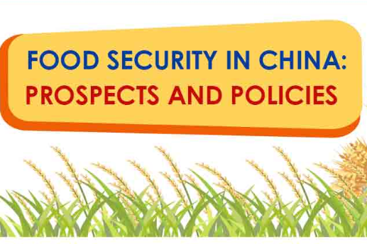 Food security in China: Prospects and policies