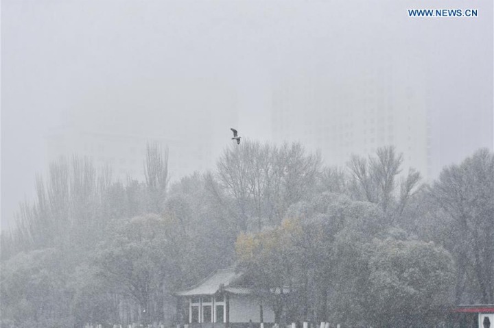 Snowfall hit Xining, Northwest China's Qinghai