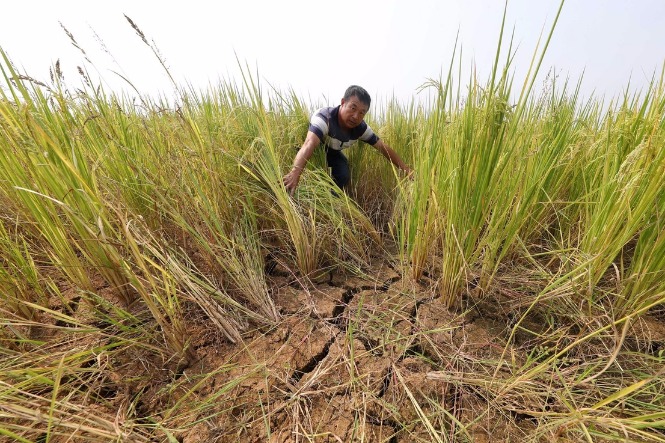 East China province invests heavily in drought relief