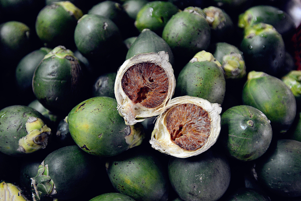 Hainan company makes areca nut innovation breakthrough