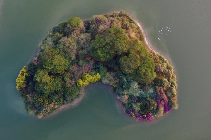 Eco lake in Fujian attracts flocks of birds