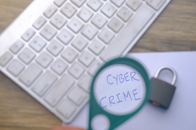 Fraud biggest element of online crime