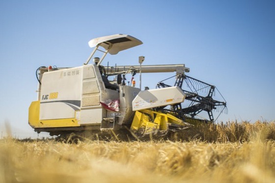 China expands high-standard farmland to ensure grain security