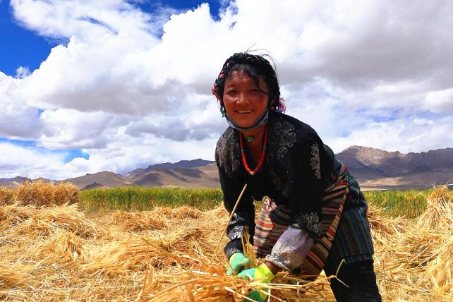 Tibet reports robust income growth among rural residents