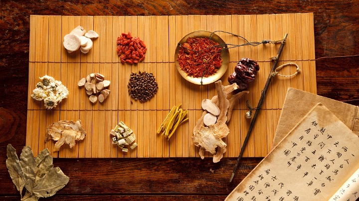 Chinese experts visit Czech Republic to promote traditional Chinese medicine
