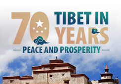 Tibet in 70 years: Peace and Prosperity