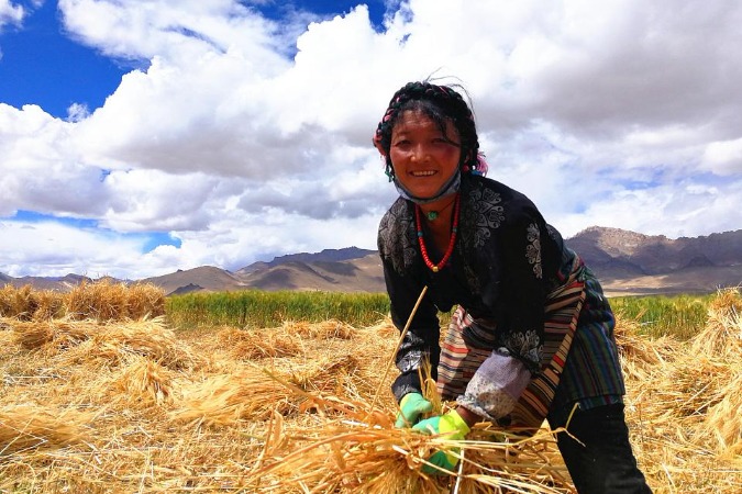 Companies help over 82,000 poor people in Tibet
