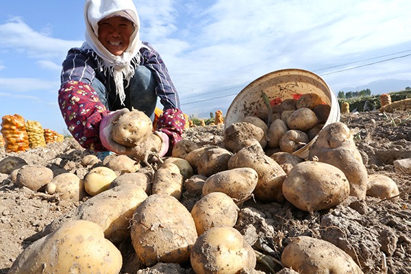 China's Gansu lifts 935,000 out of poverty in 2019