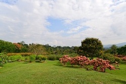 Tropical Botanical Garden, Xishuangbanna