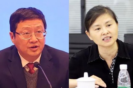 Top Hubei health officials removed from office