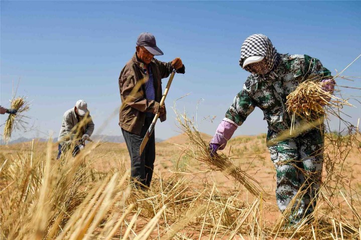 China's Gansu accelerates customs clearance of seeds for spring farming