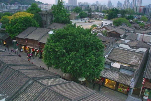 Amazing China: The city of Banyan tree