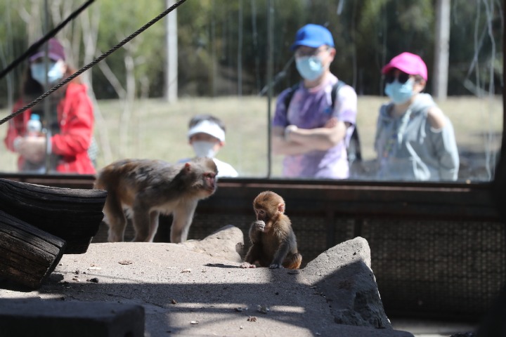 Beijing zoo reopens after 59 days