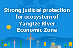 Strong judicial protection for ecosystem of Yangtze River Economic Zone