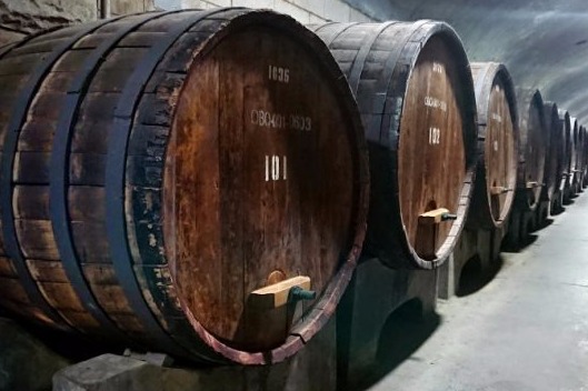 Grand cellar: Changyu and the wine region of Yantai