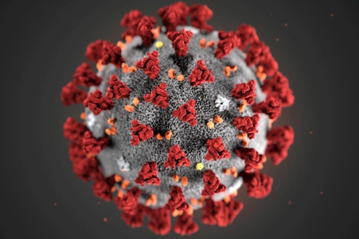 China lab refutes COVID-19 conspiracy theories as virus origin remains unclear