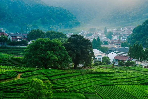 Zhejiang recognized as national ecological province