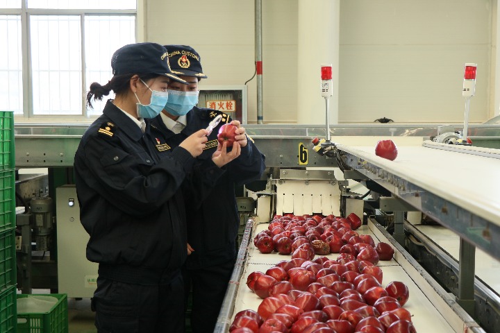 Quality fruits, vegetables flow freely from Gansu