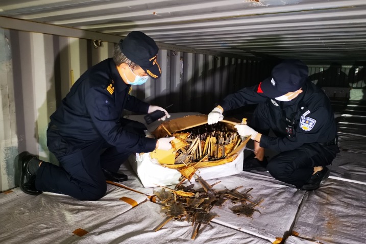 Chinese customs seize 10.7 kg of endangered species products