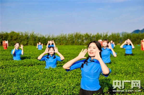 Traditional festival held in Fujian to promote tea industry