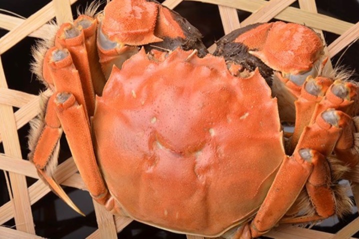 Panjin crab, rice sectors co-developing for more yield, prosperity