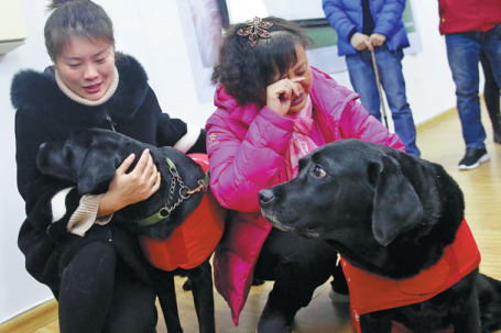 Liaoning guide dog training center provides a vision of care