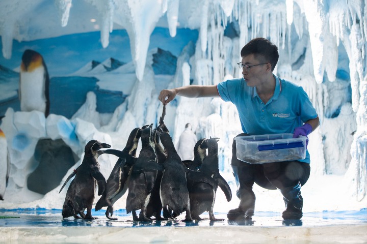 Polar park opens in China's 'furnace city'