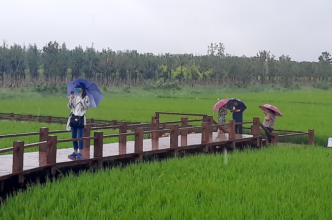 Tianjin's planned ecological barrier taking shape